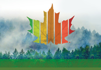 State of Canada’s Forests report